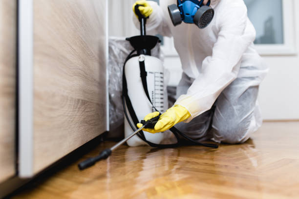 Best Pest Inspection Near Me  in Hoopa, CA