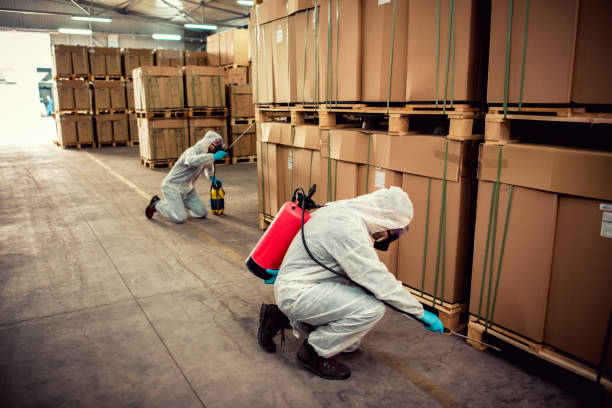 Best Emergency Pest Control  in Hoopa, CA
