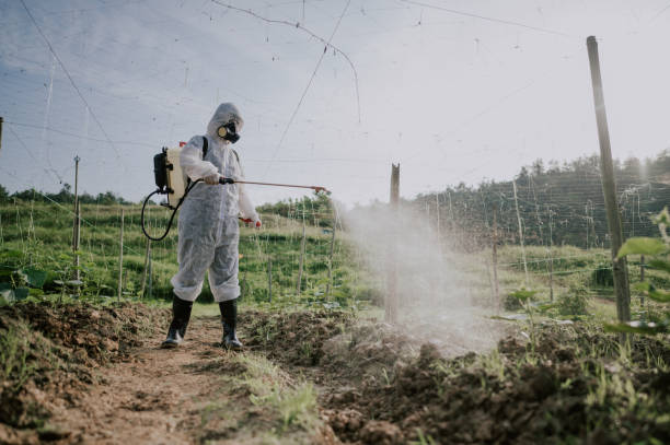 Insect Control in Hoopa, CA