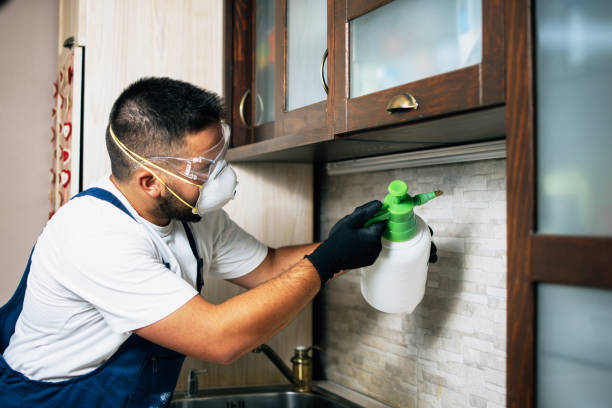 Best Rat Extermination Near Me  in Hoopa, CA