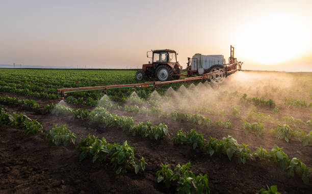 Pest Control Cost in Hoopa, CA