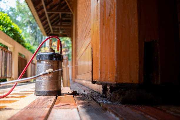Best Termite Control Services  in Hoopa, CA