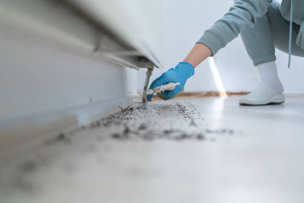 Best Insect Control  in Hoopa, CA