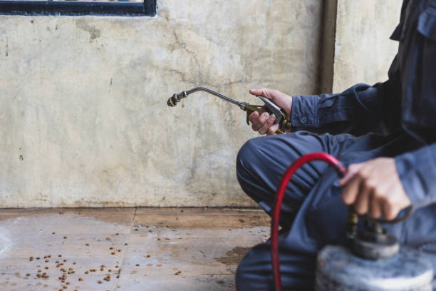 Best Residential Pest Control  in Hoopa, CA
